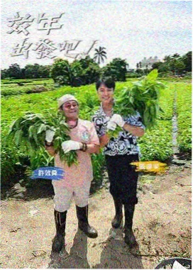 大侦探·迷城篇 综艺在线观看